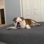 Bruce Shoemaker - @bruce.shoemaker - Instagram