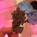 Bruce Siegel - @bruce.texas - Instagram