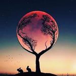 Bruce Smith - @effsfwh12 - Instagram