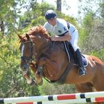 Bruce Smith Saddleworld - @bruce_smith_saddleworld - Instagram