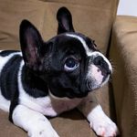Bruce Snow - @bull.brucesnow - Instagram