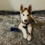 Bruce Snow - @bruce_snow_vp - Instagram