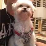 Bruce_snow - @unknown_bruce_snow - Instagram