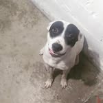 Bruce - @bruce.soares - Instagram