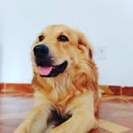 Bruce Soares - @brucesoares2022 - Instagram