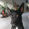 bruce Souza soares - @bruce.souza.soares - TikTok