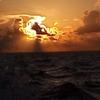 Bruce Spears - @bruce.spears6 - TikTok