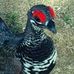 Bruce Spinney - Facebook