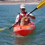 Bruce Stetler - @brucestetler - Instagram