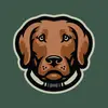 Bruce & Storm - @roverranchlabradors - TikTok
