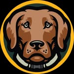 Bruce & Storm - Labrador Retrievers - @roverranchlabradors - Instagram