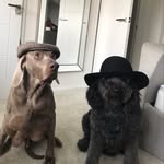 Bruce & Storm Marsden - @bruce_and_storm_ - Instagram