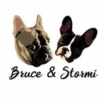𝐛𝐫𝐮𝐜𝐞 𝐚𝐧𝐝 𝐬𝐭𝐨𝐫𝐦𝐢’ - @bruceandstormi - Instagram