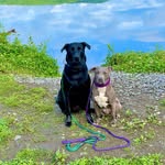 Bruce Wayne & Storm - @brucewayne.storm - Instagram