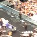 Bruce Springsteen &amp; the E Street Band - Prudential Center - Facebook