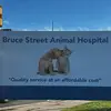 Bruce street - @brucestreet.ah - TikTok