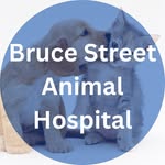 Bruce Street Animal Hospital - @brucestreetanimalhospital - Instagram