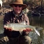 Bruce Strong - @strongbruce619 - Instagram