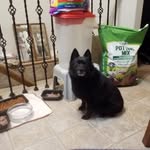 Bruce Strong - @bruce.strong.33 - Instagram