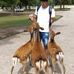 Bruce Su - Facebook