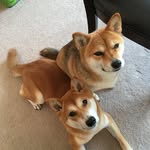 Bruce Sun - @bxs0626 - Instagram
