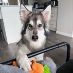 Bruce Sun - @sun_bruce - Instagram
