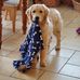 Bruce Teeter - Facebook
