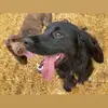 Temple_of_Bruce - @temple_of_bruce - TikTok