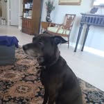 Bruce Thomas - @golfman55 - Instagram