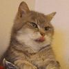 Bruce Tse - @31433794321 - TikTok
