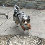 BruceTseng - @brucetsengpo - Instagram