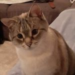 Bruce Lee Turkey Boy Booboo - @turkeyboobruce - Instagram