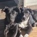 Bruce Twyman - Facebook
