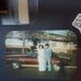 Bruce Ulrich - Facebook