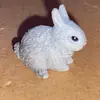 Bruce - @bruce.underwood1 - TikTok
