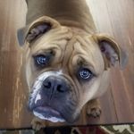 Bruce Valentine - @bruceval - Instagram