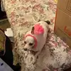 Brucevan77 - @brucevander1 - TikTok