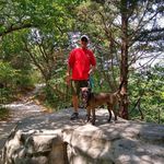 Bruce Van Dyke - @irondogbruce - Instagram
