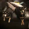 BruceVicky - @brucevicky - TikTok