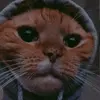 brucevilla - @brucevilla77 - TikTok