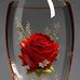Bruce Vincent - Facebook