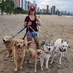 Matilha Pra Quem Tem Pet - @brucemeganvolkelza - Instagram