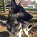 Bruce Wages - Facebook