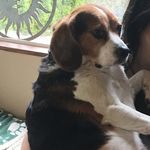 Bruce Waldbillig - @brucewaldbillig - Instagram