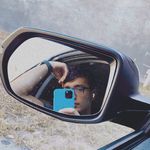 Bruce Wall - @brucewall12.22 - Instagram