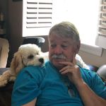 Bruce Wall - @davidbrucewall - Instagram
