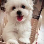 Bruce  Walters - @brucewalters7 - Instagram