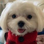 Bruce Walters - @donaldkepley55 - Instagram