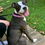 Bruce Walters - @bruce_walter6 - Instagram