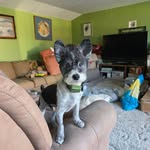 Bruce Walters - @bruce.walters.125 - Instagram